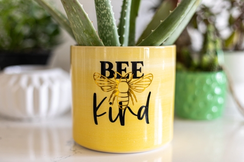 BeeKind-Vinyl.jpg