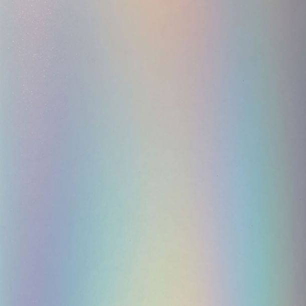 2007248-joy-insert-cards-silver-matte-holographic-swatch02.jpg
