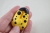 NAWLEKACZ-LED-DO-NICI-BIEDRONKA-2.jpg