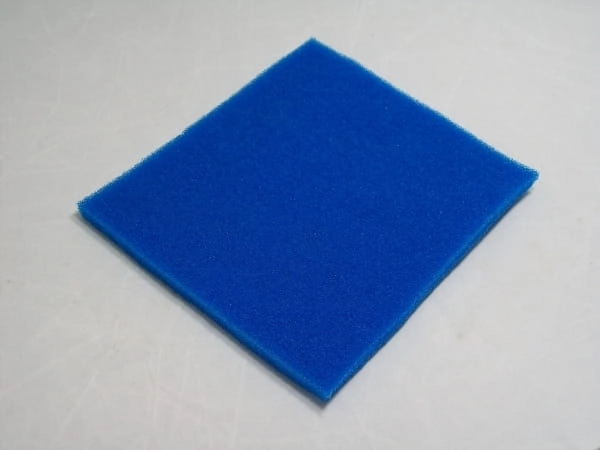 43800452.jpg