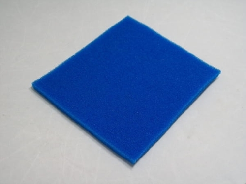 43800463.jpg