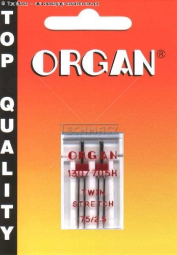 6046892.jpg