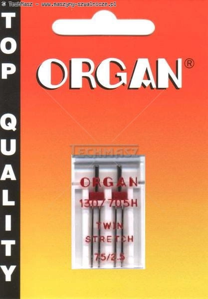 6046892.jpg